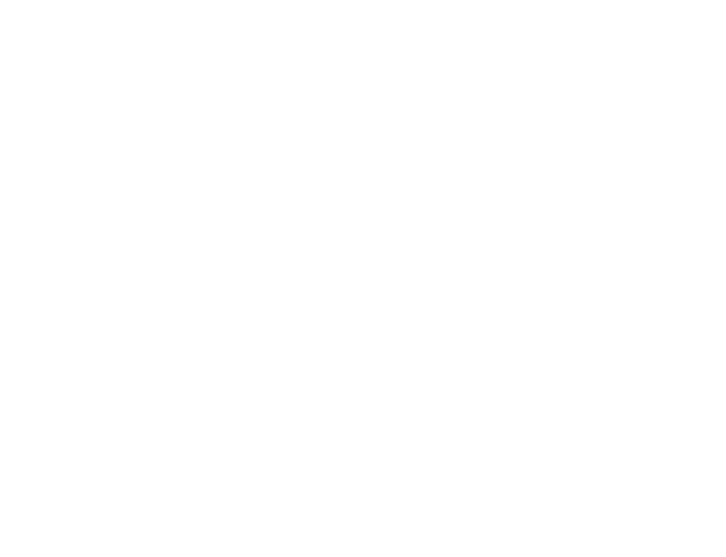 Boston Chimney Sweep